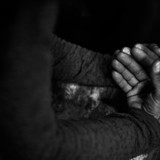 Canoenses n�o est�o sozinhas para enfrentar a viol�ncia